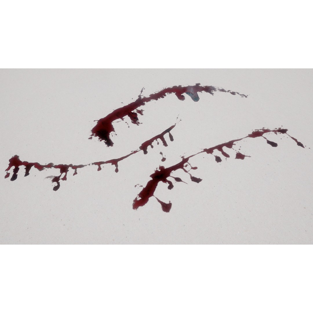Blood Splashes Texture 3D Model – Horror Decal Collection, PBR - View 37
