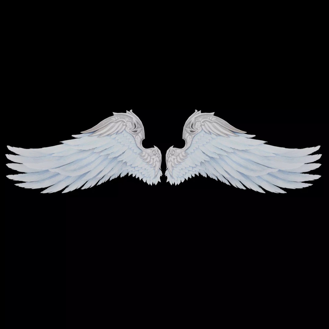 Angel Wings 3D Model – Low Poly Rigged Game Asset, FBX - View 2