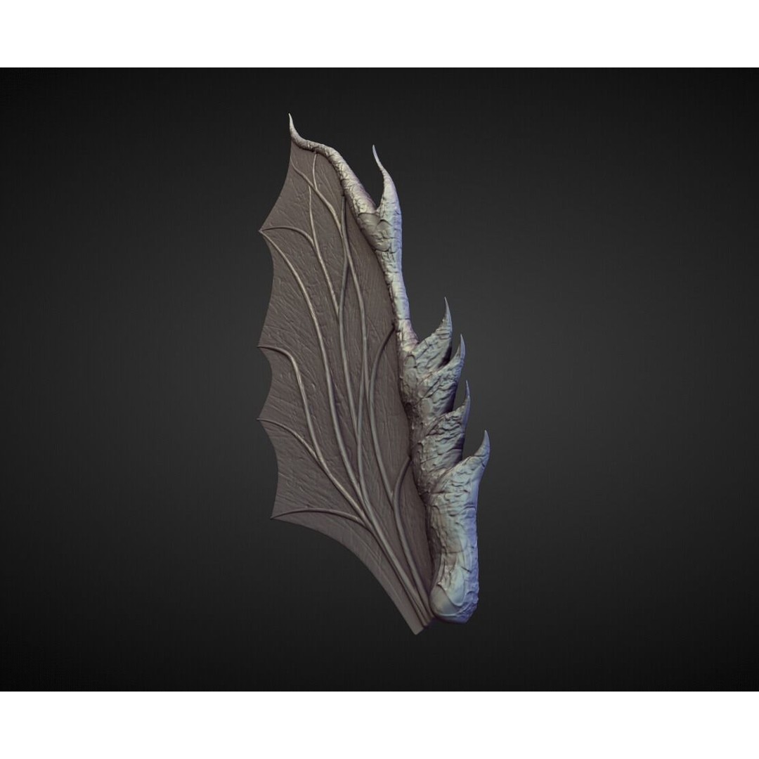 Wing 3D Model – High Poly Character Anatomy Asset, OBJ