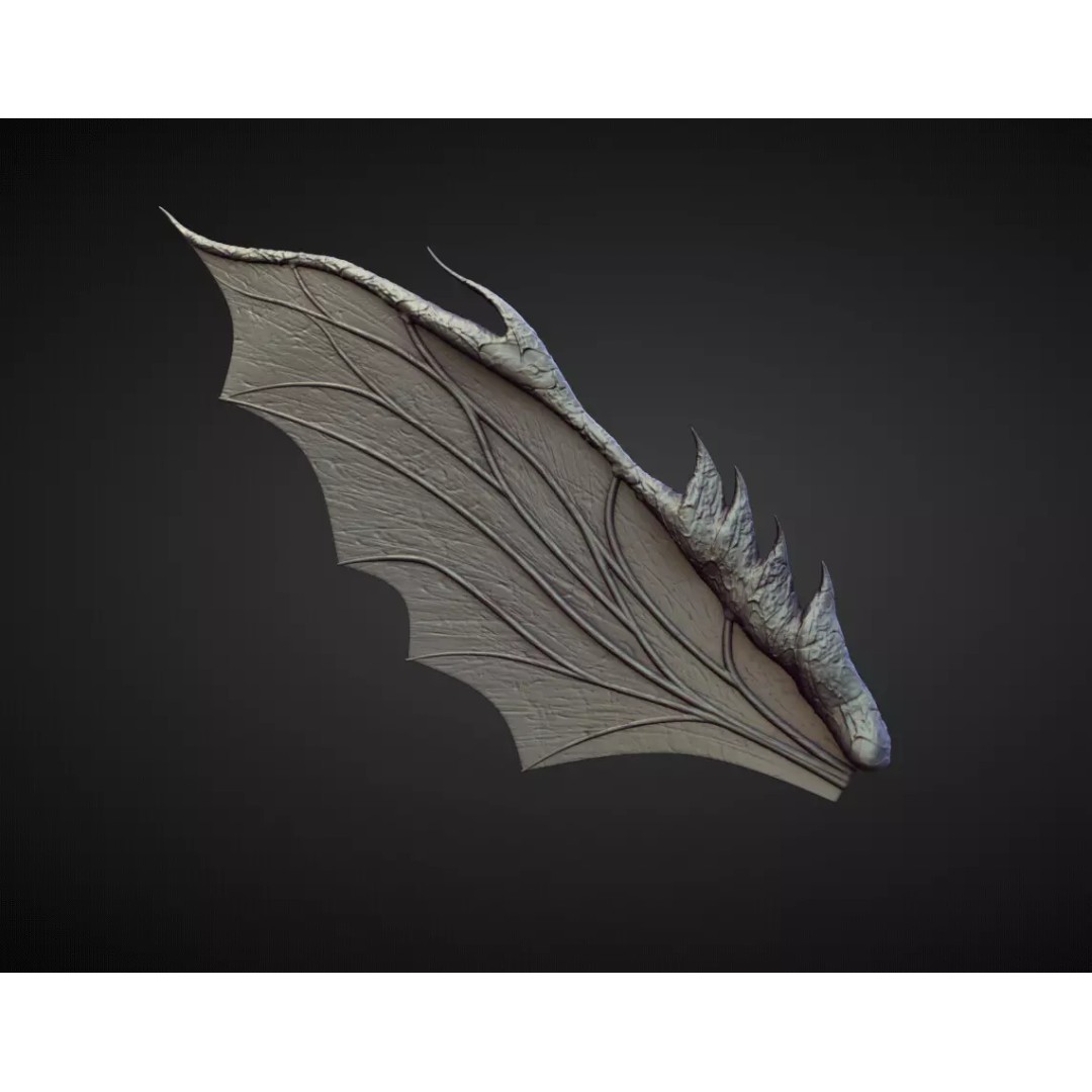 Wing 3D Model – High Poly Character Anatomy Asset, OBJ - View 2