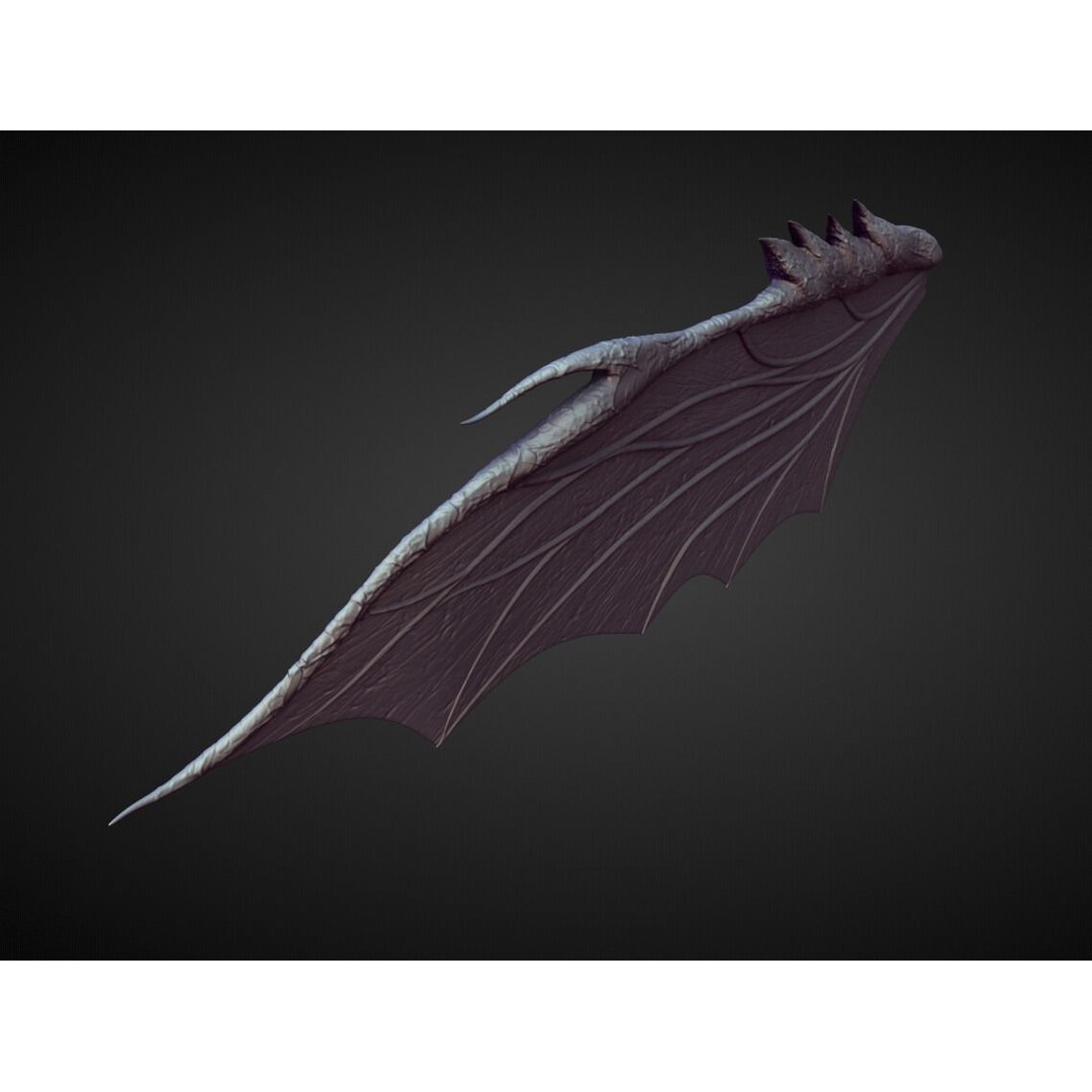 Wing 3D Model – High Poly Character Anatomy Asset, OBJ - View 4
