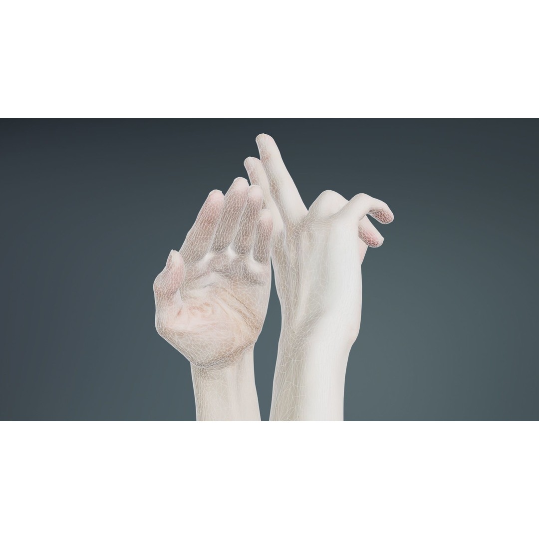 Duo Hands 3D Model – Low Poly Gesture Asset, PBR Textures, FBX - View 11