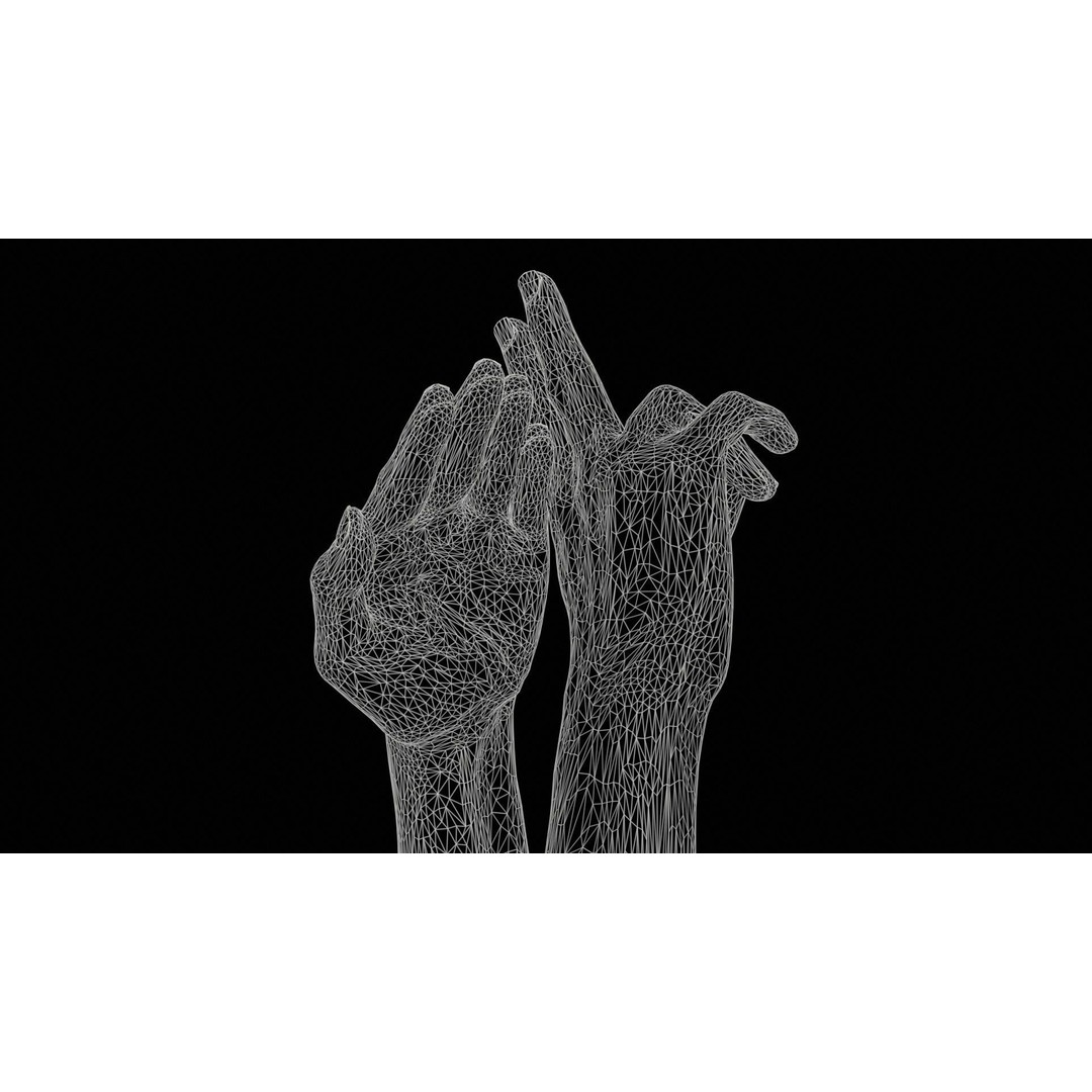 Duo Hands 3D Model – Low Poly Gesture Asset, PBR Textures, FBX - View 13