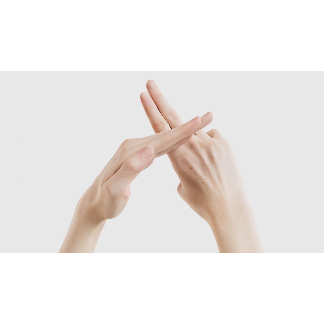 Duo Hands 3D Model – Low Poly Gesture Asset, PBR Textures, FBX - View 19