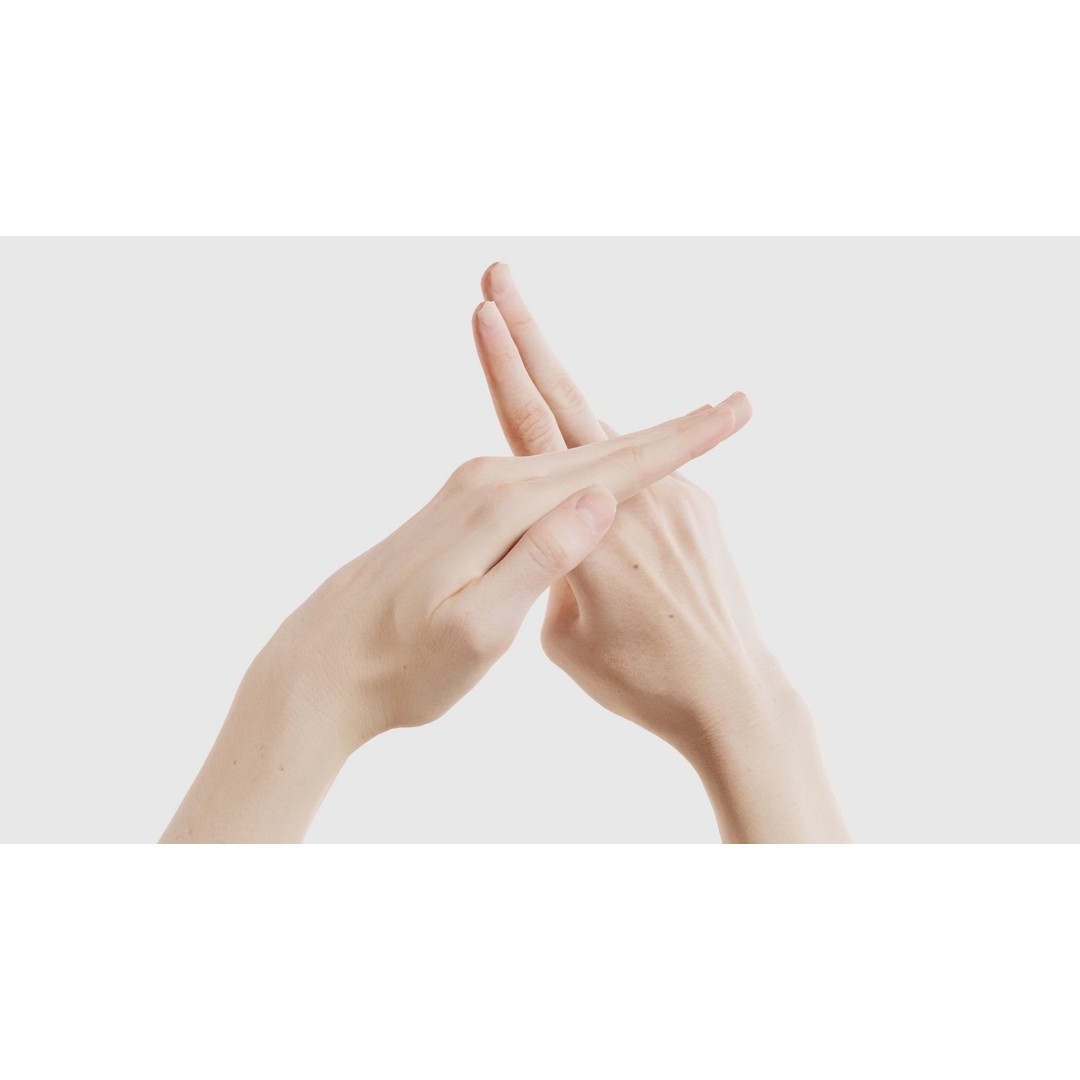 Duo Hands 3D Model – Low Poly Gesture Asset, PBR Textures, FBX - View 20