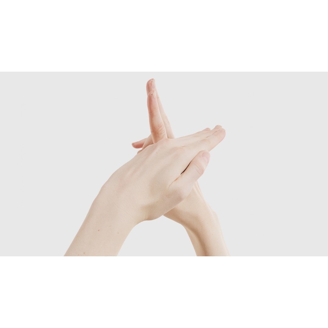 Duo Hands 3D Model – Low Poly Gesture Asset, PBR Textures, FBX - View 21