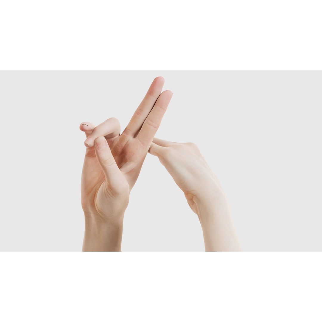 Duo Hands 3D Model – Low Poly Gesture Asset, PBR Textures, FBX - View 24
