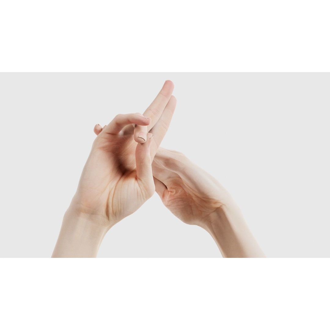 Duo Hands 3D Model – Low Poly Gesture Asset, PBR Textures, FBX - View 26