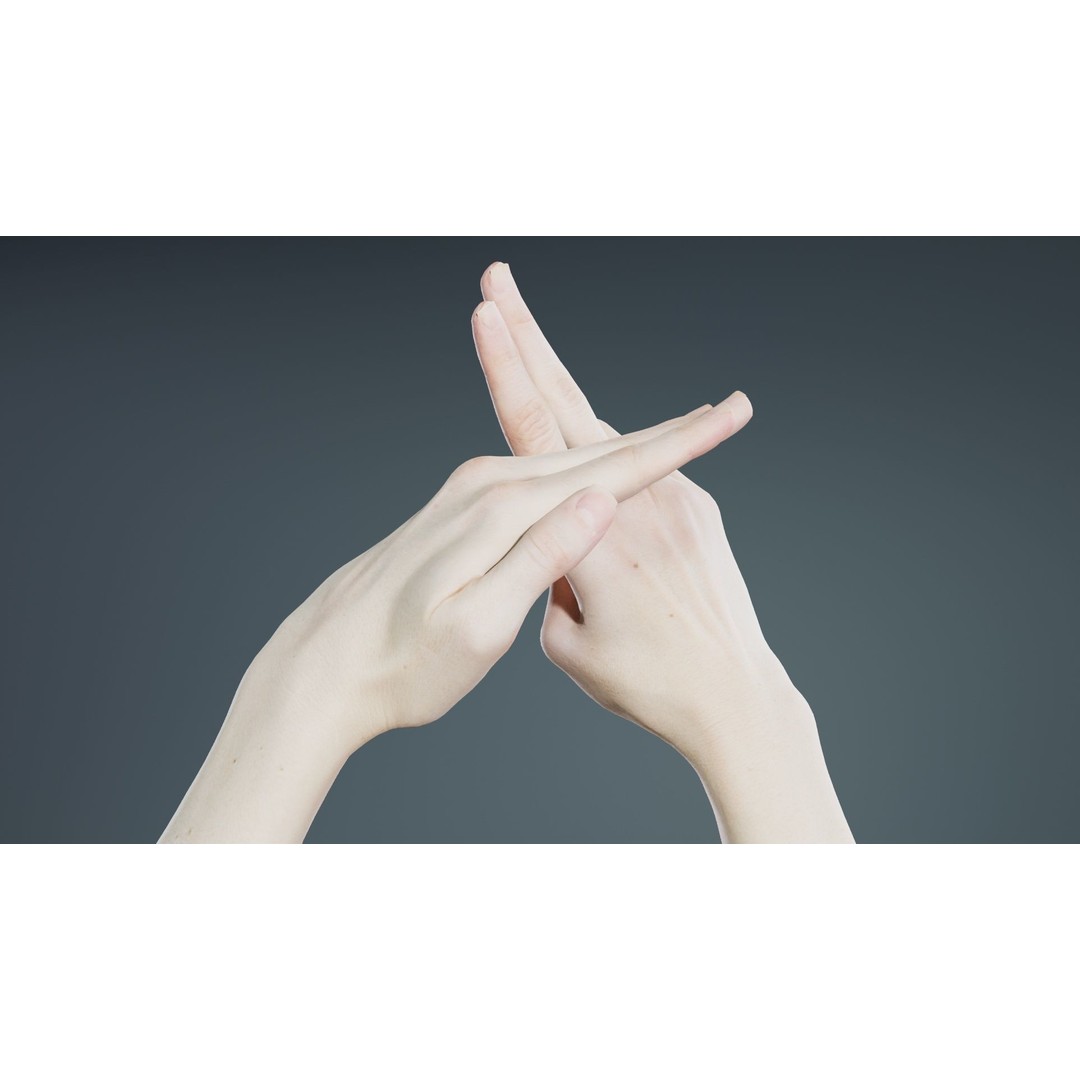 Duo Hands 3D Model – Low Poly Gesture Asset, PBR Textures, FBX - View 5