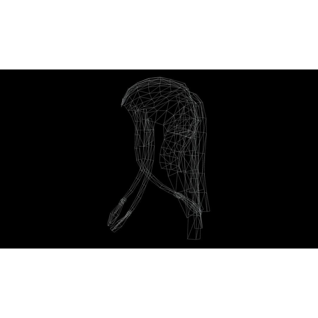 Female Dreadlocks Hair 3D Model – Low Poly Realistic Hair, FBX - View 13