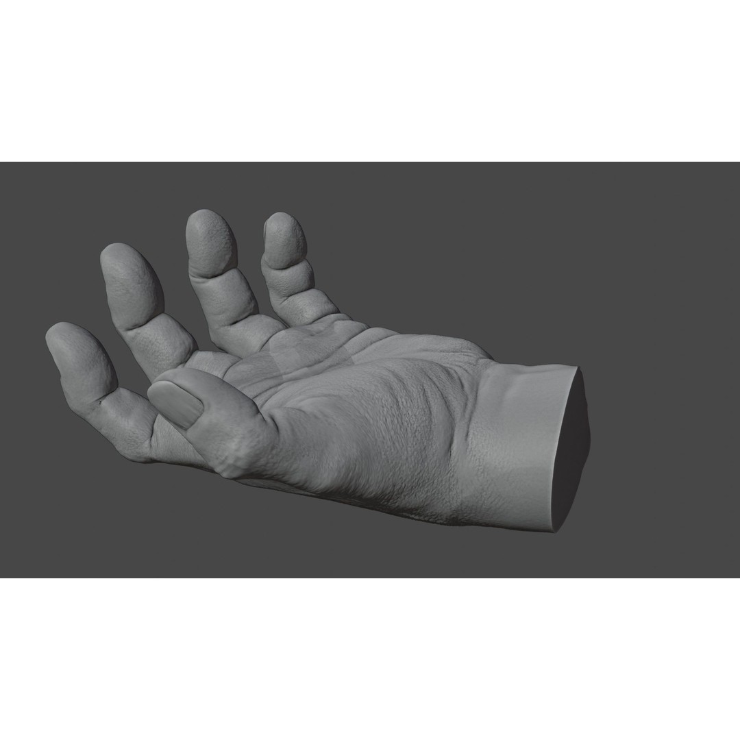 Human Hand 3D Model – Rigged Character Anatomy, FBX