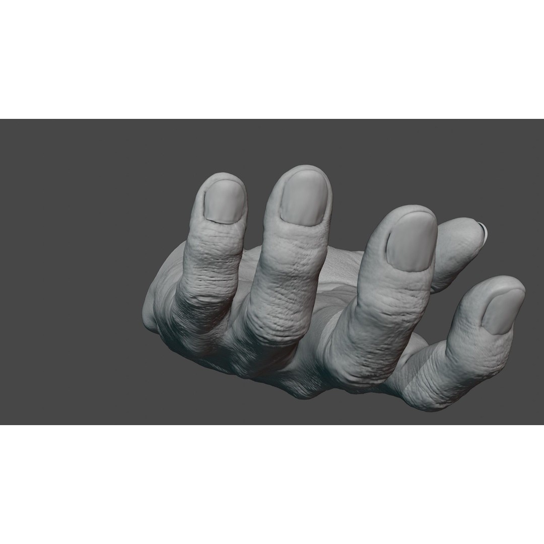 Human Hand 3D Model – Rigged Character Anatomy, FBX - View 10