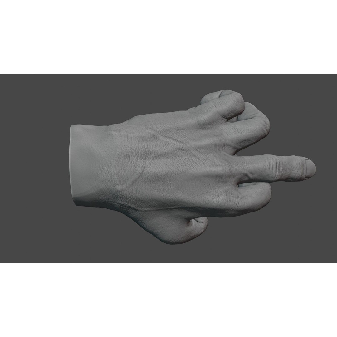 Human Hand 3D Model – Rigged Character Anatomy, FBX - View 11