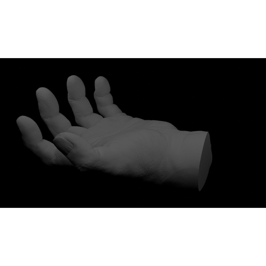 Human Hand 3D Model – Rigged Character Anatomy, FBX - View 12