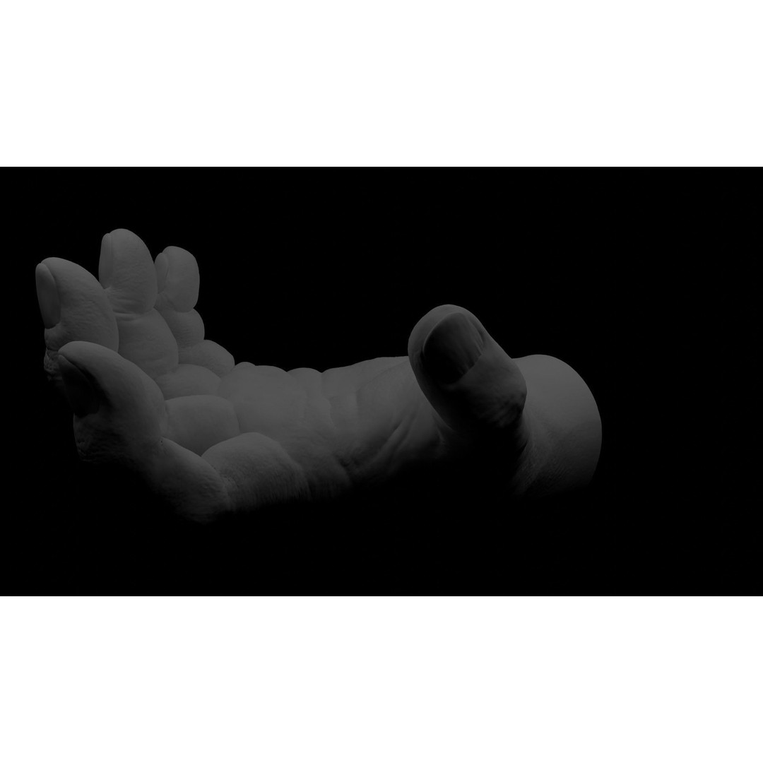 Human Hand 3D Model – Rigged Character Anatomy, FBX - View 13