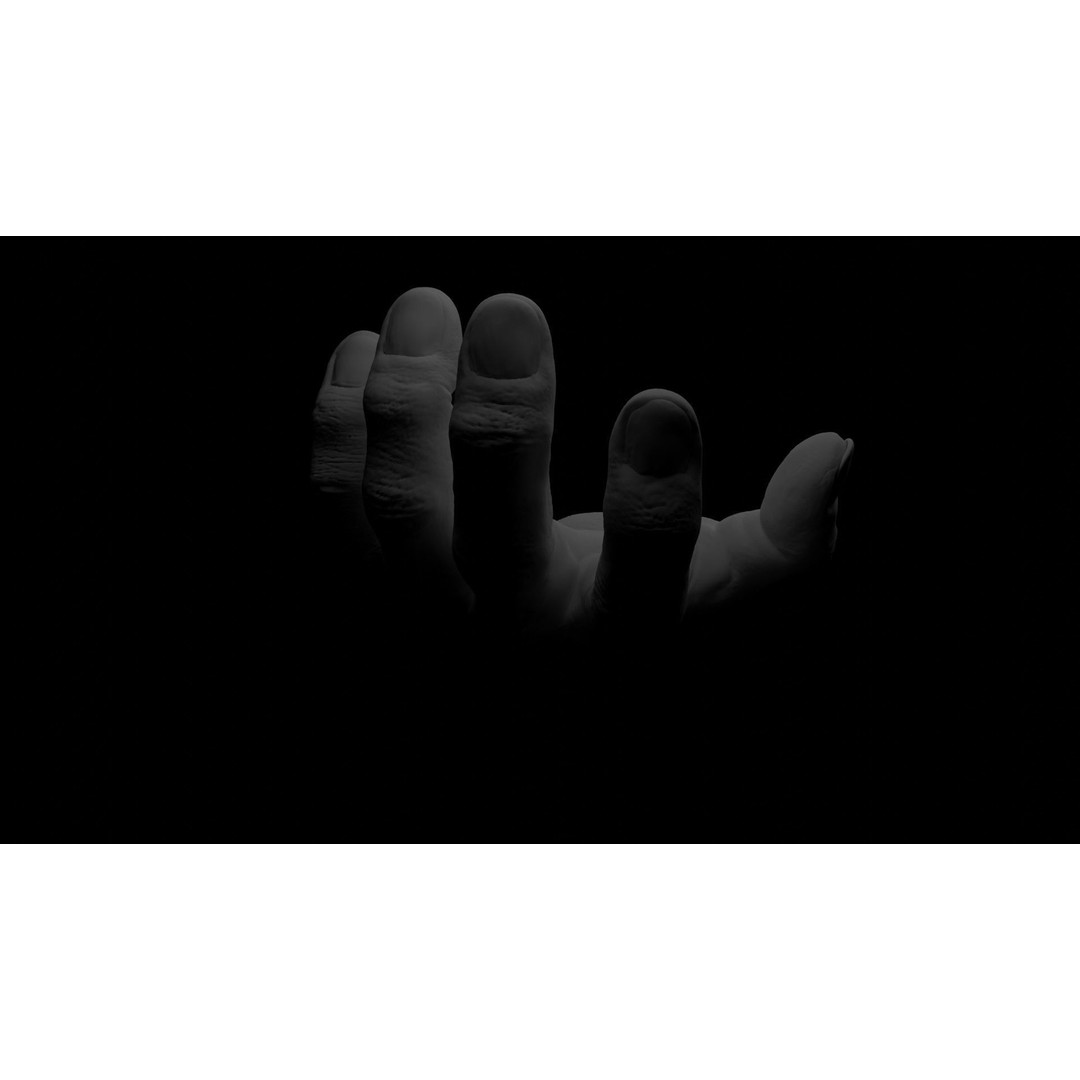 Human Hand 3D Model – Rigged Character Anatomy, FBX - View 14