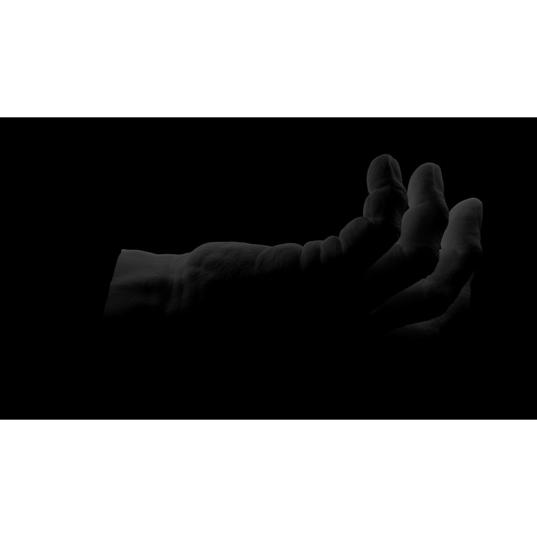 Human Hand 3D Model – Rigged Character Anatomy, FBX - View 15