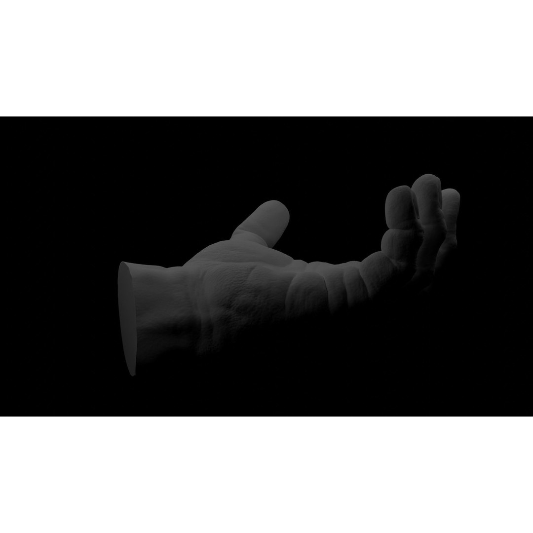 Human Hand 3D Model – Rigged Character Anatomy, FBX - View 16