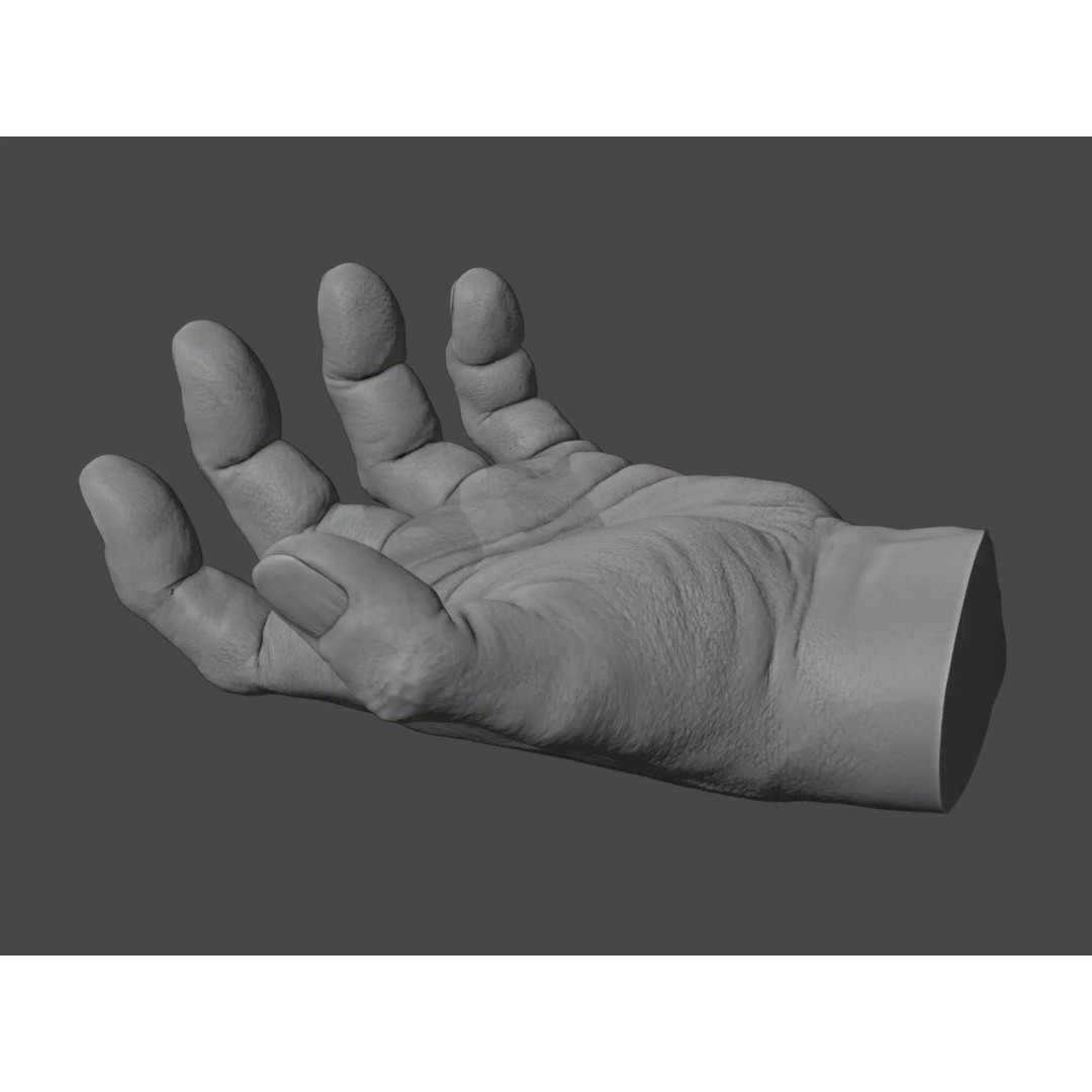 Human Hand 3D Model – Rigged Character Anatomy, FBX - View 2