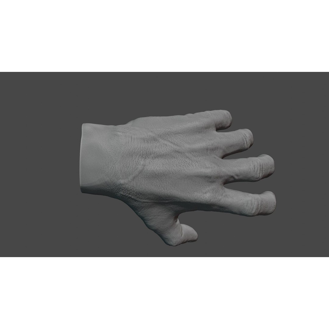 Human Hand 3D Model – Rigged Character Anatomy, FBX - View 3