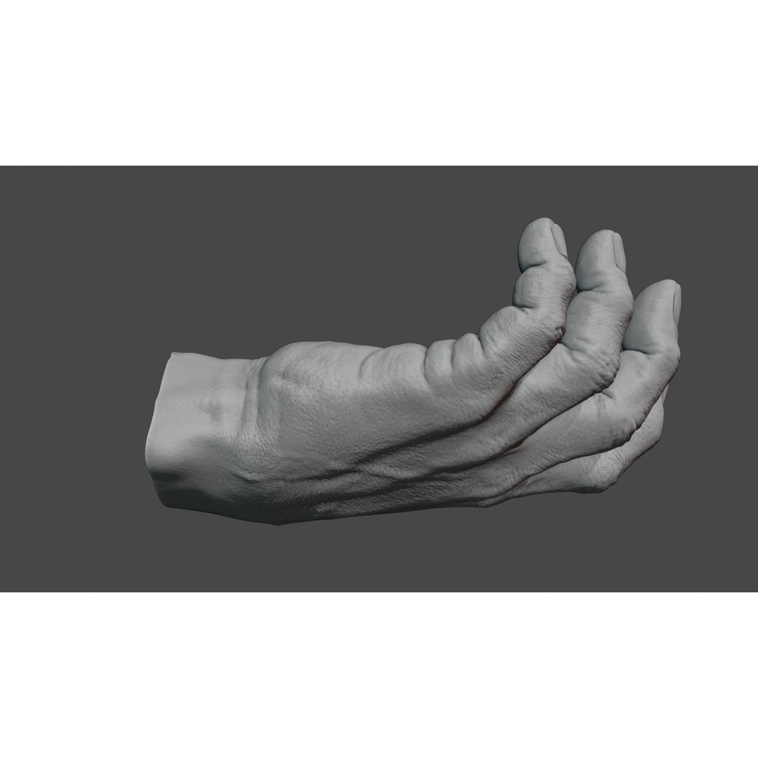 Human Hand 3D Model – Rigged Character Anatomy, FBX - View 4