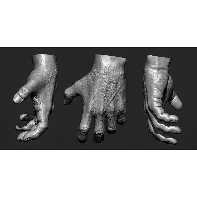 Human Hand 3D Model – Rigged Character Anatomy, FBX - View 5