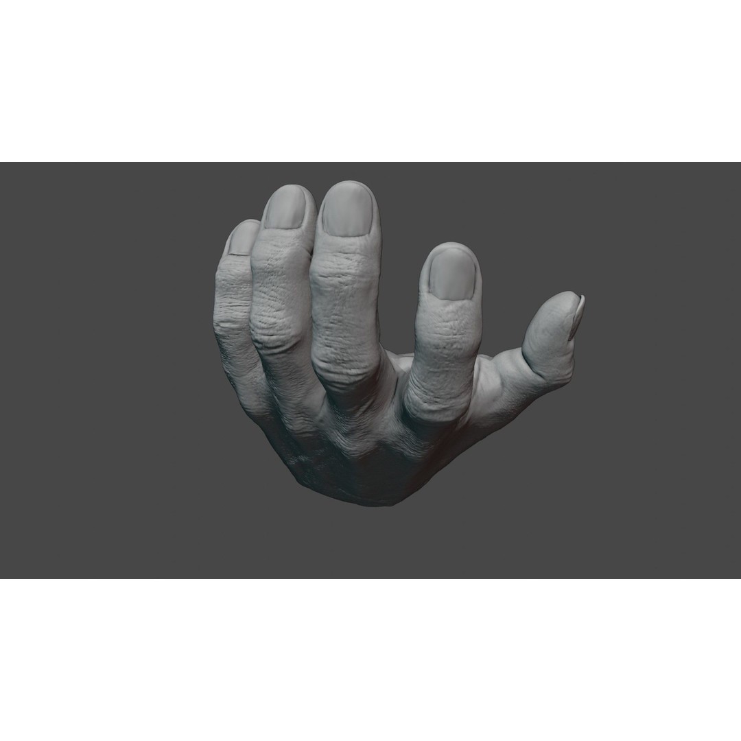 Human Hand 3D Model – Rigged Character Anatomy, FBX - View 6