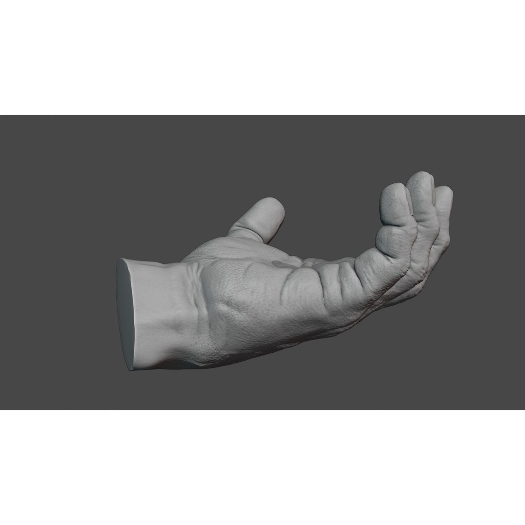 Human Hand 3D Model – Rigged Character Anatomy, FBX - View 7