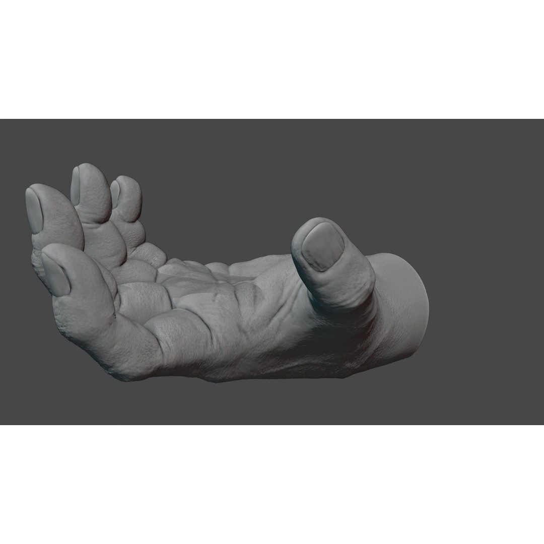 Human Hand 3D Model – Rigged Character Anatomy, FBX - View 8