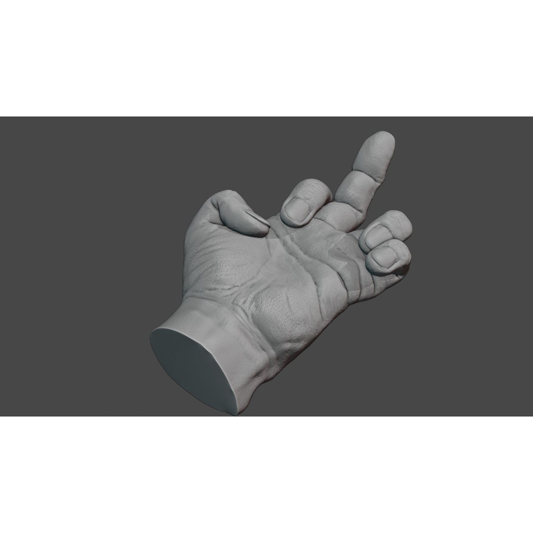 Human Hand 3D Model – Rigged Character Anatomy, FBX - View 9