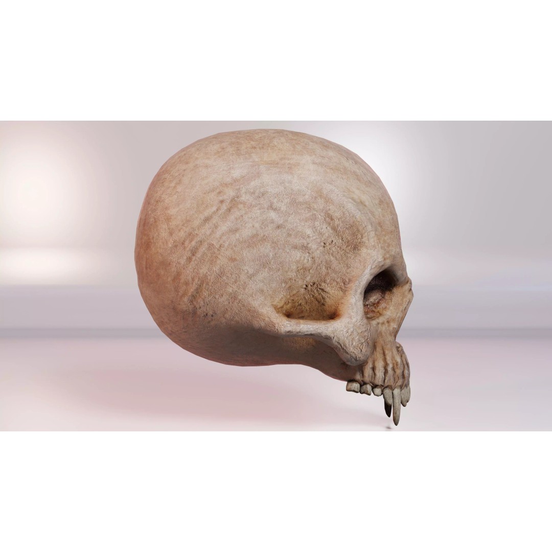Demon Skull 3D Model – Low Poly PBR Character Asset, FBX - View 4
