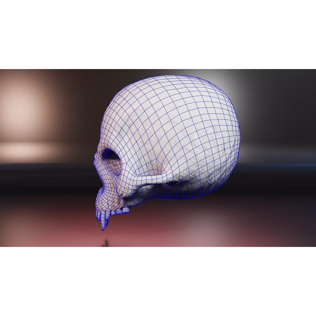 Demon Skull 3D Model – Low Poly PBR Character Asset, FBX - View 6
