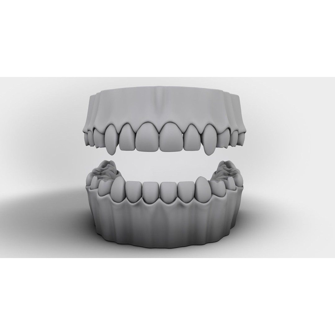 Denture Tooth 3D Model – Anatomical Character Asset, FBX - View 10