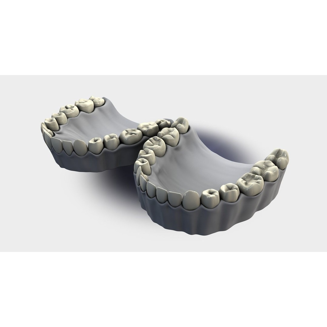 Denture Tooth 3D Model – Anatomical Character Asset, FBX - View 11