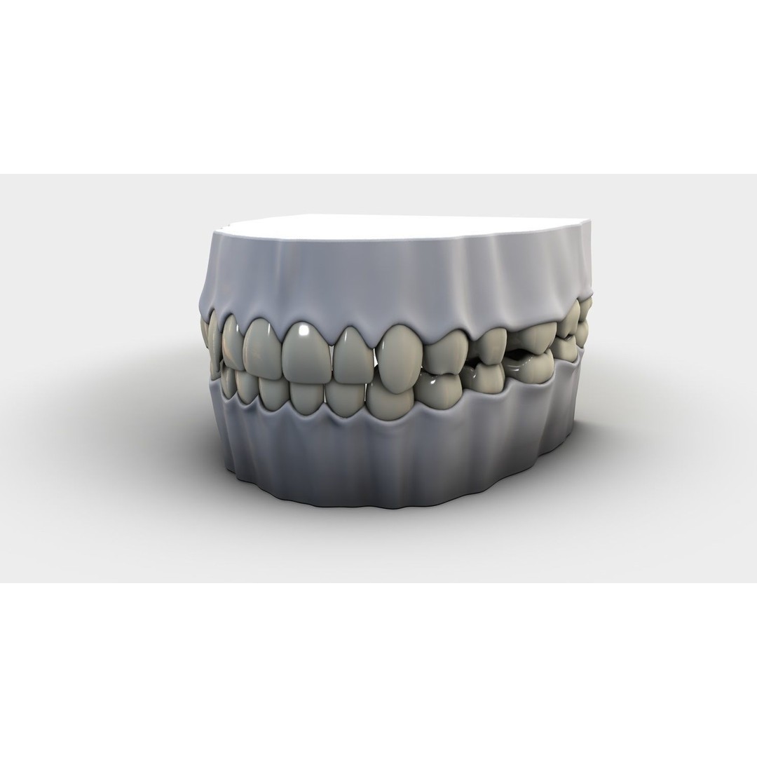 Denture Tooth 3D Model – Anatomical Character Asset, FBX - View 13