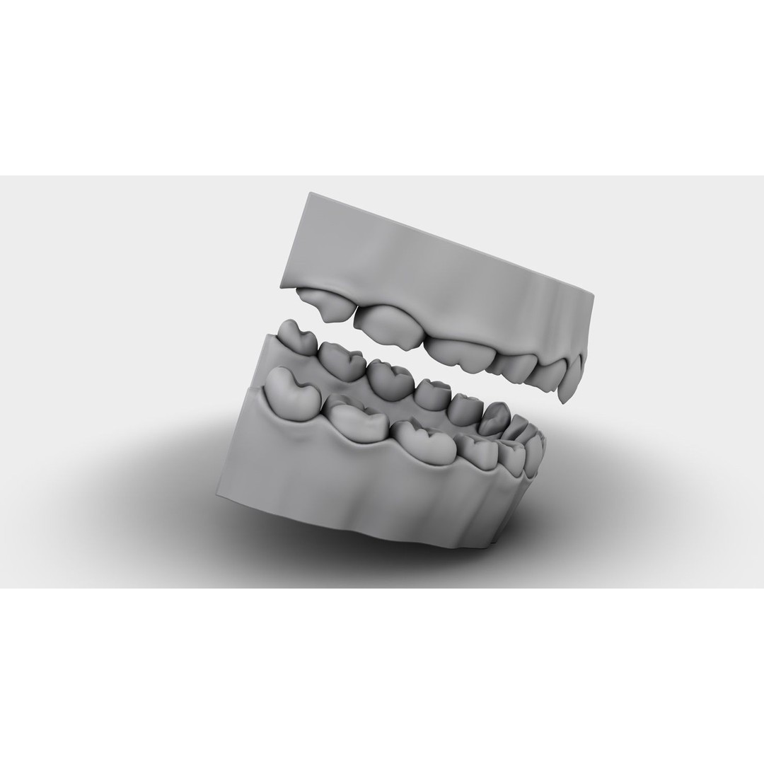 Denture Tooth 3D Model – Anatomical Character Asset, FBX - View 16
