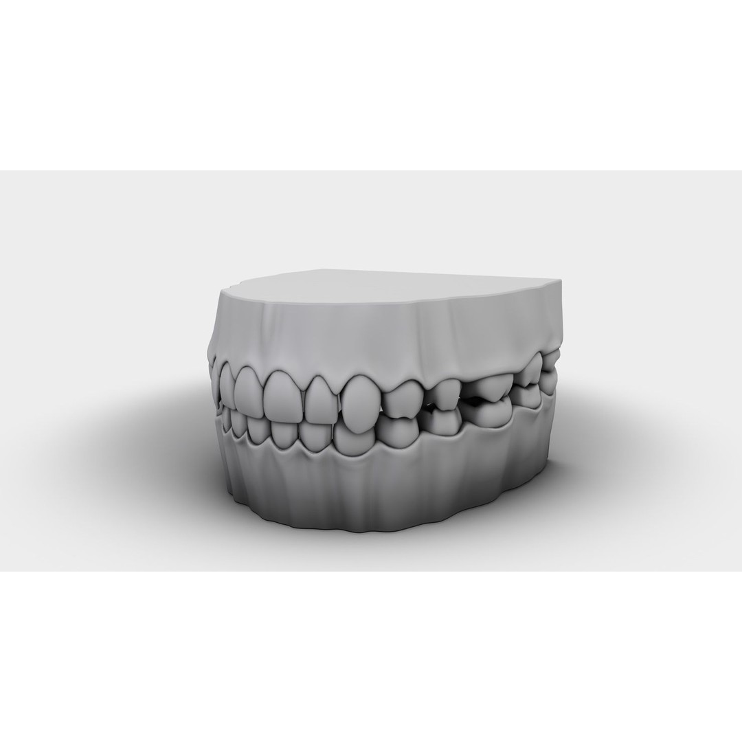 Denture Tooth 3D Model – Anatomical Character Asset, FBX - View 18