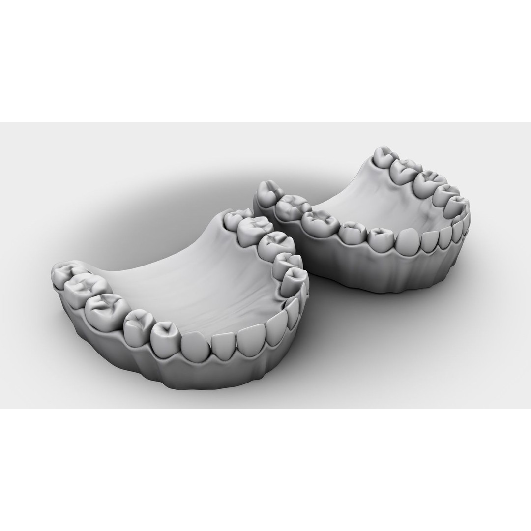 Denture Tooth 3D Model – Anatomical Character Asset, FBX - View 20