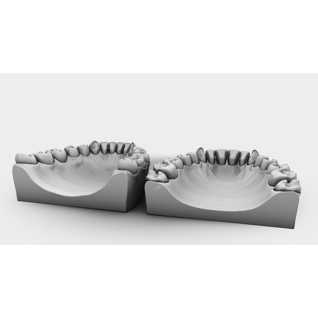 Denture Tooth 3D Model – Anatomical Character Asset, FBX - View 21
