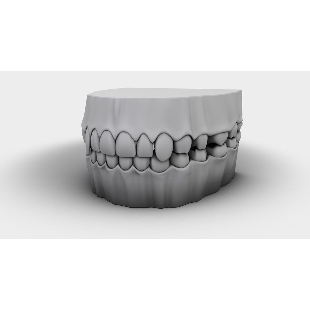 Denture Tooth 3D Model – Anatomical Character Asset, FBX - View 22