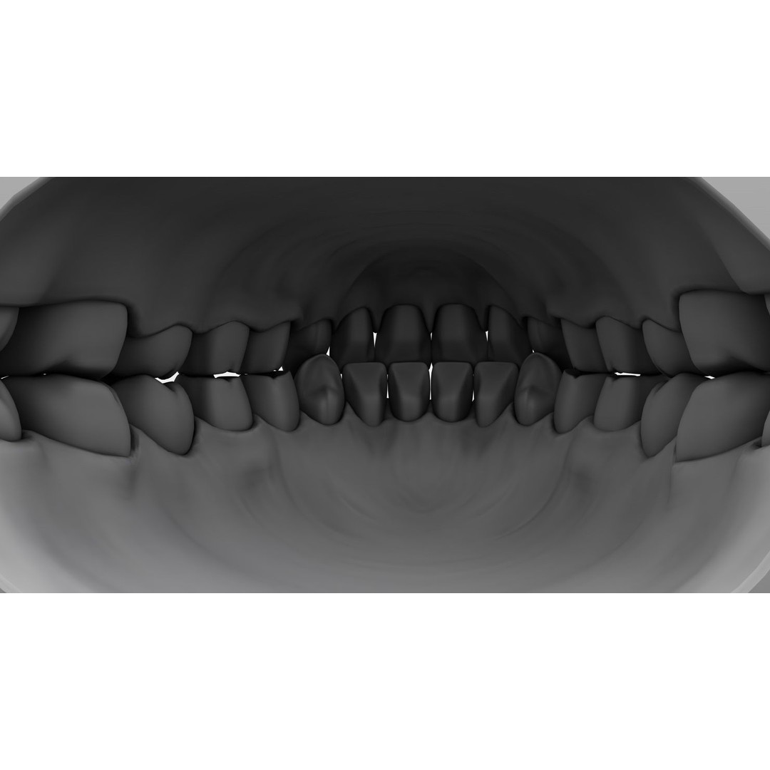 Denture Tooth 3D Model – Anatomical Character Asset, FBX - View 23