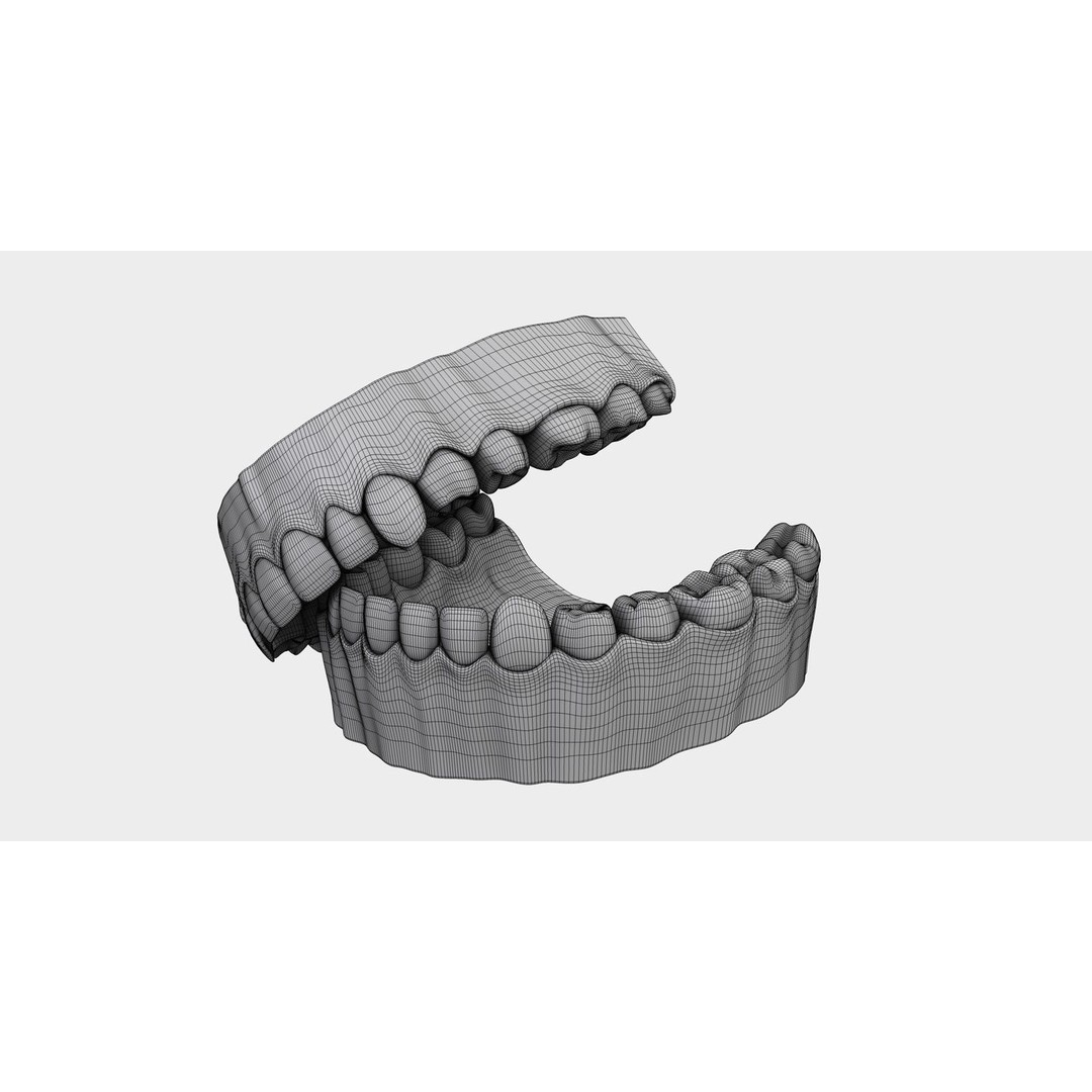 Denture Tooth 3D Model – Anatomical Character Asset, FBX - View 25