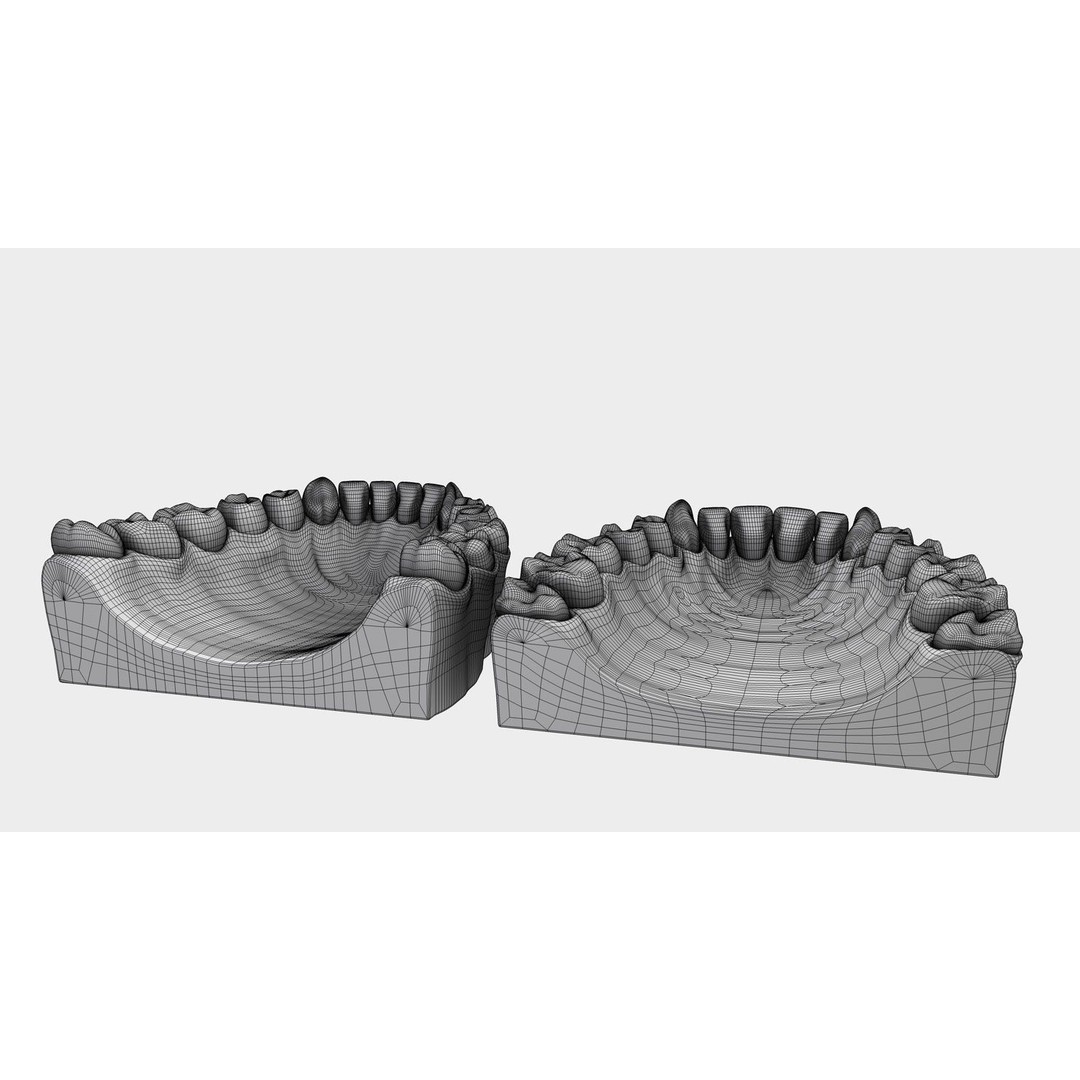 Denture Tooth 3D Model – Anatomical Character Asset, FBX - View 27