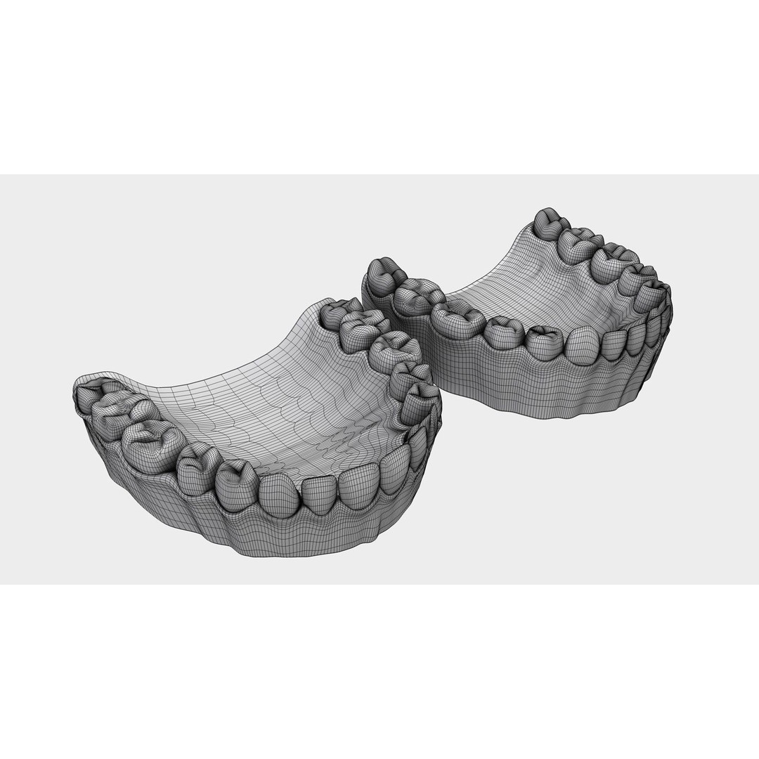 Denture Tooth 3D Model – Anatomical Character Asset, FBX - View 28