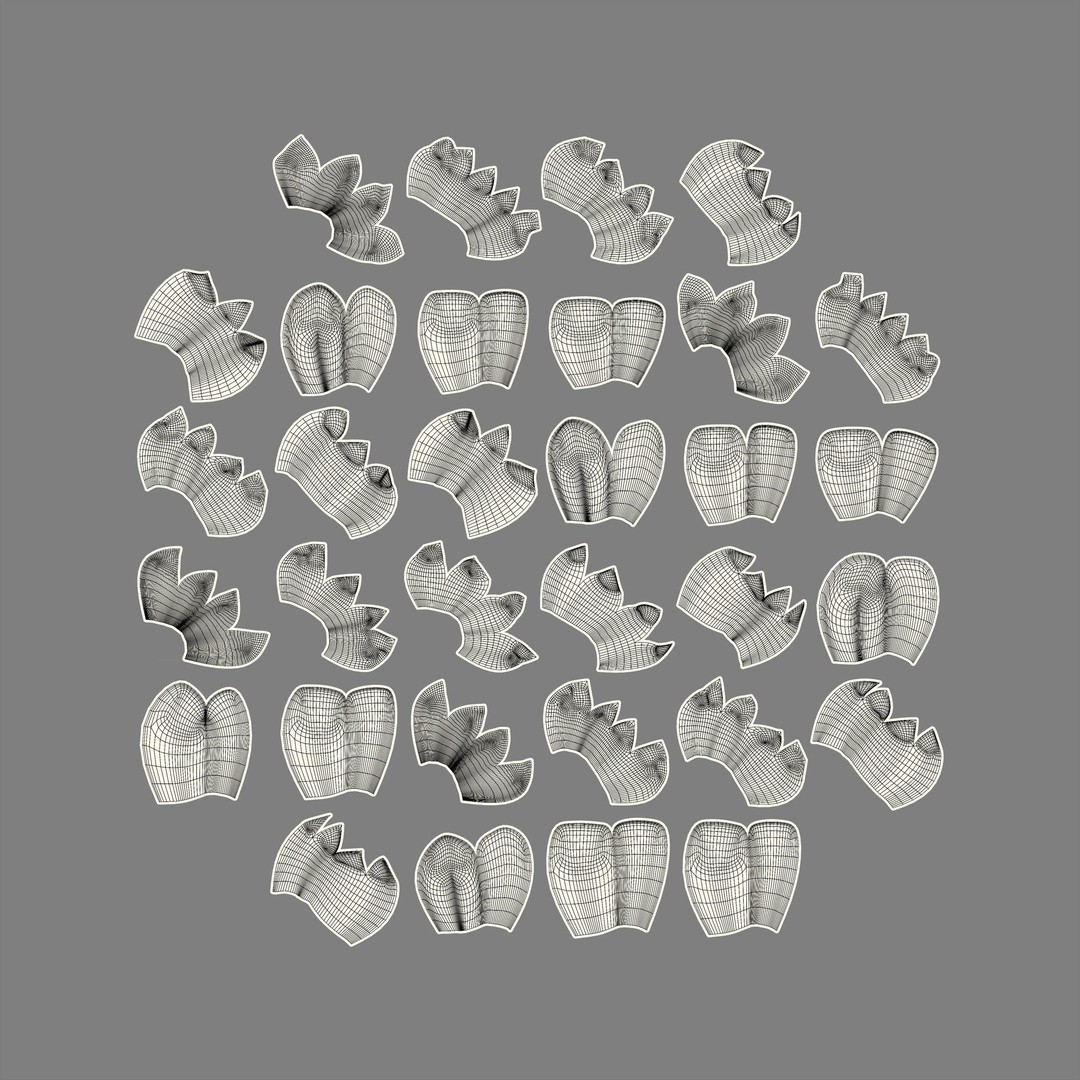Denture Tooth 3D Model – Anatomical Character Asset, FBX - View 29