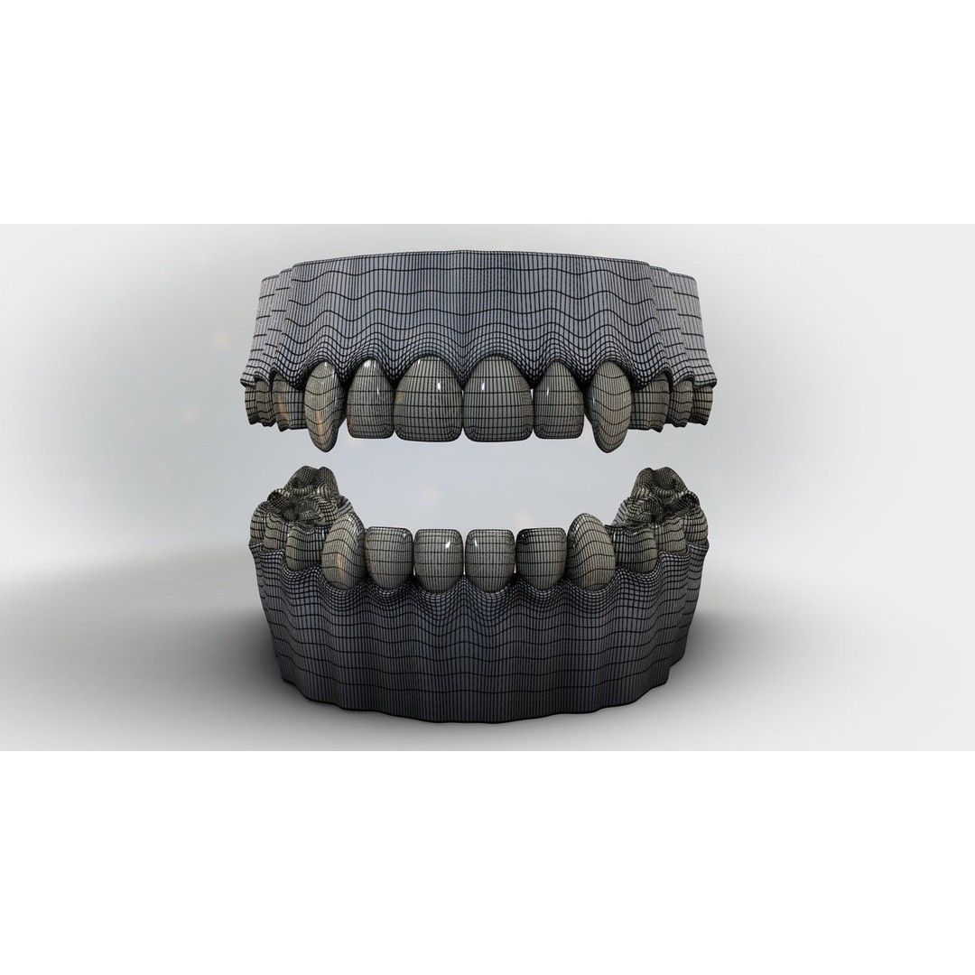 Denture Tooth 3D Model – Anatomical Character Asset, FBX - View 30