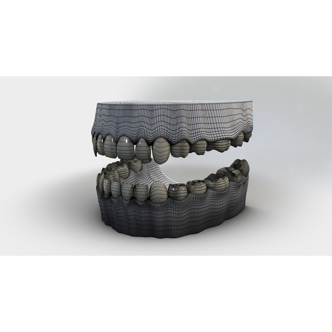 Denture Tooth 3D Model – Anatomical Character Asset, FBX - View 31