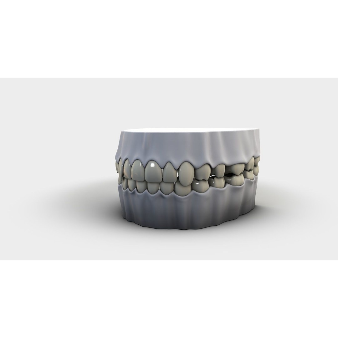 Denture Tooth 3D Model – Anatomical Character Asset, FBX - View 4