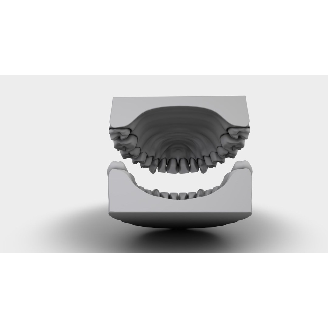 Denture Tooth 3D Model – Anatomical Character Asset, FBX - View 5