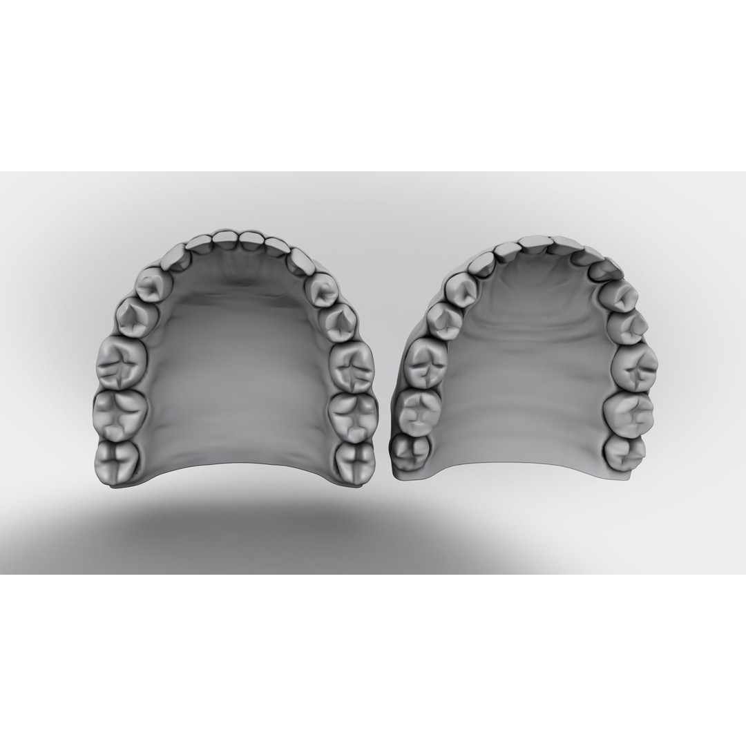 Denture Tooth 3D Model – Anatomical Character Asset, FBX - View 9